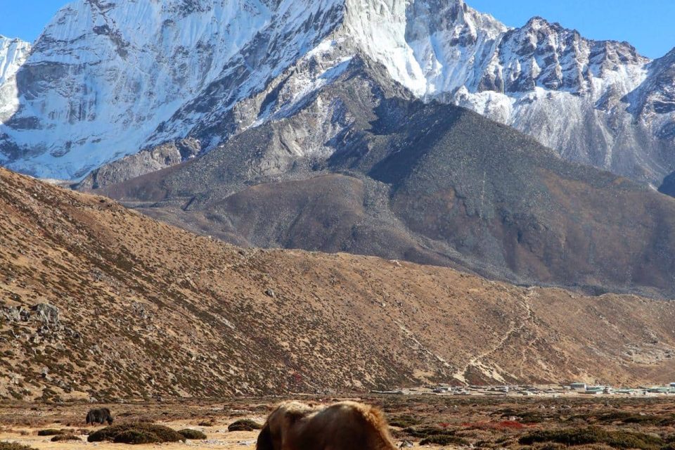 Best Jacket for Everest Base Camp Trek Ultimate Guide Things to Know