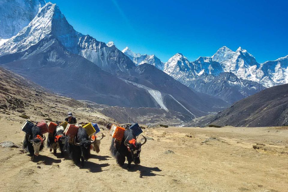 Best Backpack for Everest Base Camp Trek Ultimate Guide Information